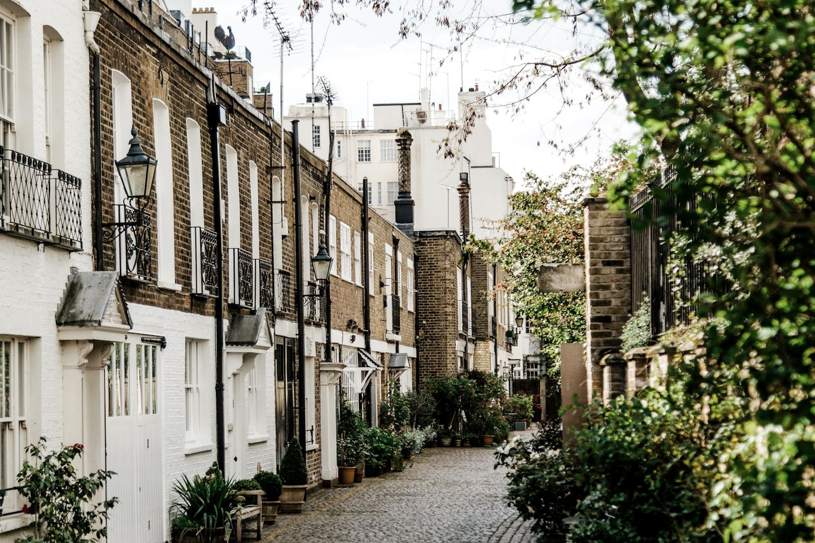A quiet cobbled mews of white stucco houses in Kensington, west London.